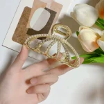کلیپس خرچنگی