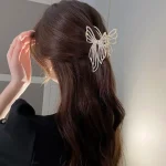 پاپیون بزرگ مجلسی - Image 2